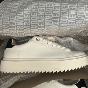 Steve Madden Charlie Sneaker! Still new in the original box